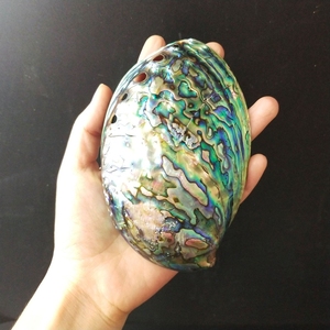 Natural Craft <strong>Paua</strong> Seashell 11-13cm Stock Polished Abalone Shell for Decoration Soap Box - Product Image 5