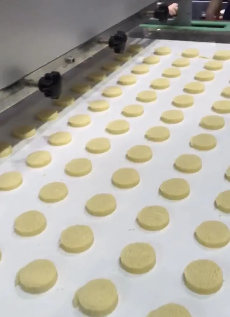 Máquina automática para hacer galletas, máquina para hacer galletas, pastel de nogal suave