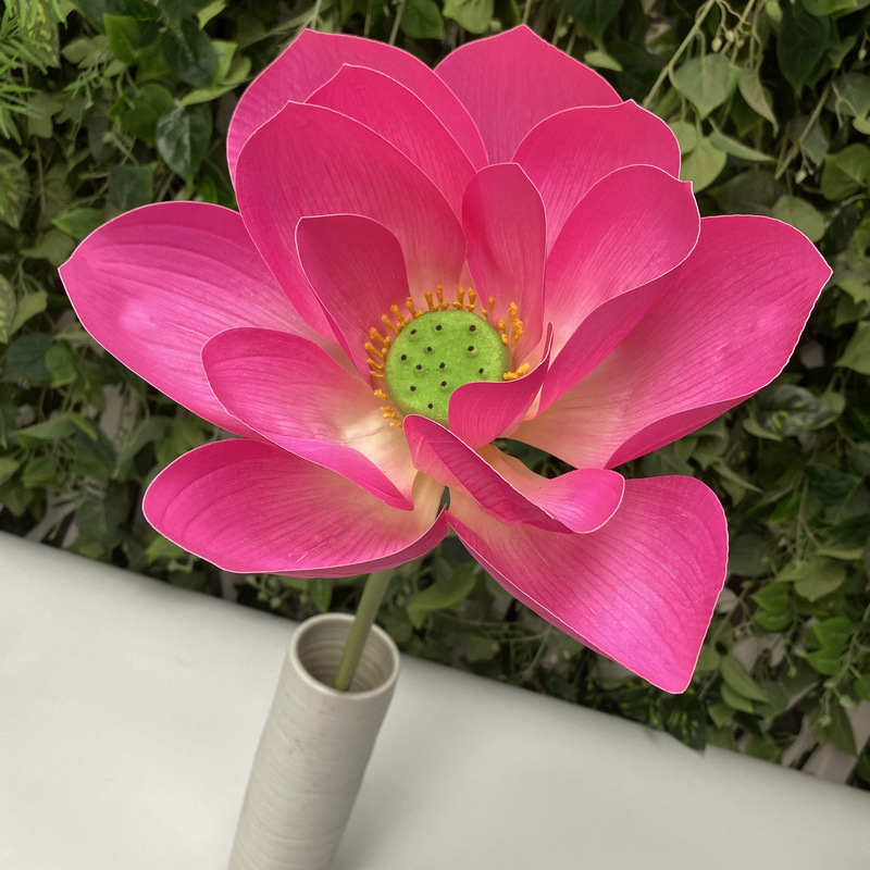 6# Large-flowered deep pink