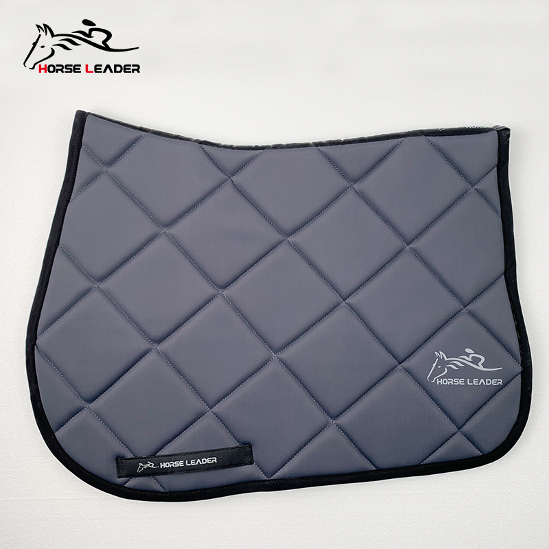 Requin gris
