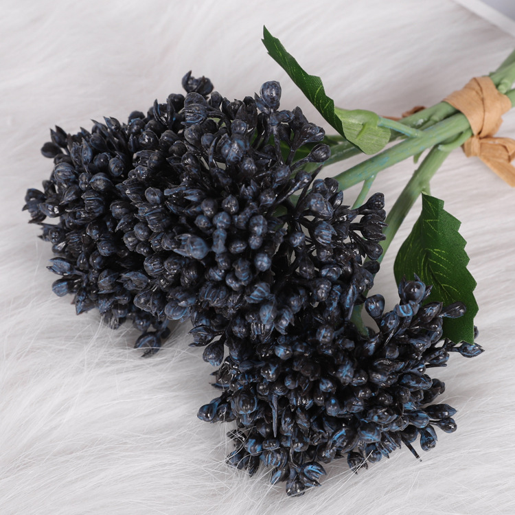 Wind letter fruit blue