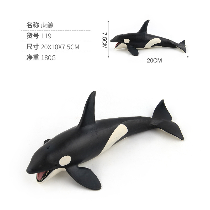 Killer Whale-A