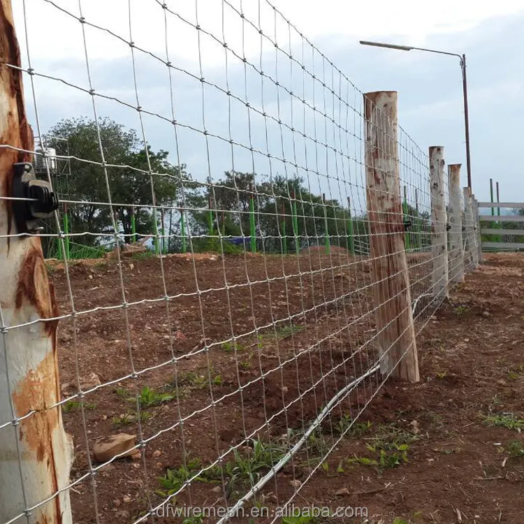 Sığır çiftlik duvar çit 1m x 50m kutup farklı türleri için yeni malzeme galvanizli çelik tel
