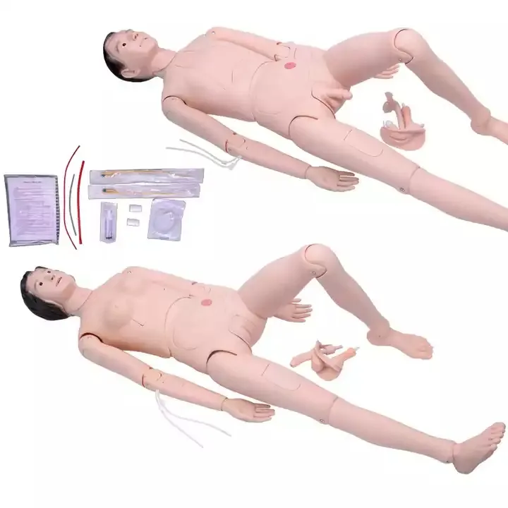 Migliore qualità infermiera formazione bambola maschio e femmina scienza medica plastica educativa biologia umana insegnamento modello di anatomia