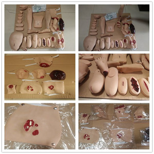 Tıbbi okul kullanımı için karaciğer pankreas Duodenum ADA-A1053 PVC İnsan anatomisi modeli anatomik tıbbi bilim modeli - Product Image 2