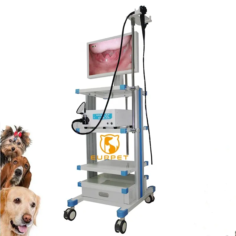 EUR PET attrezzatura veterinaria di alta qualità Prime endoscopio flessibile veterinario gastroscopio elettronico per animali domestici