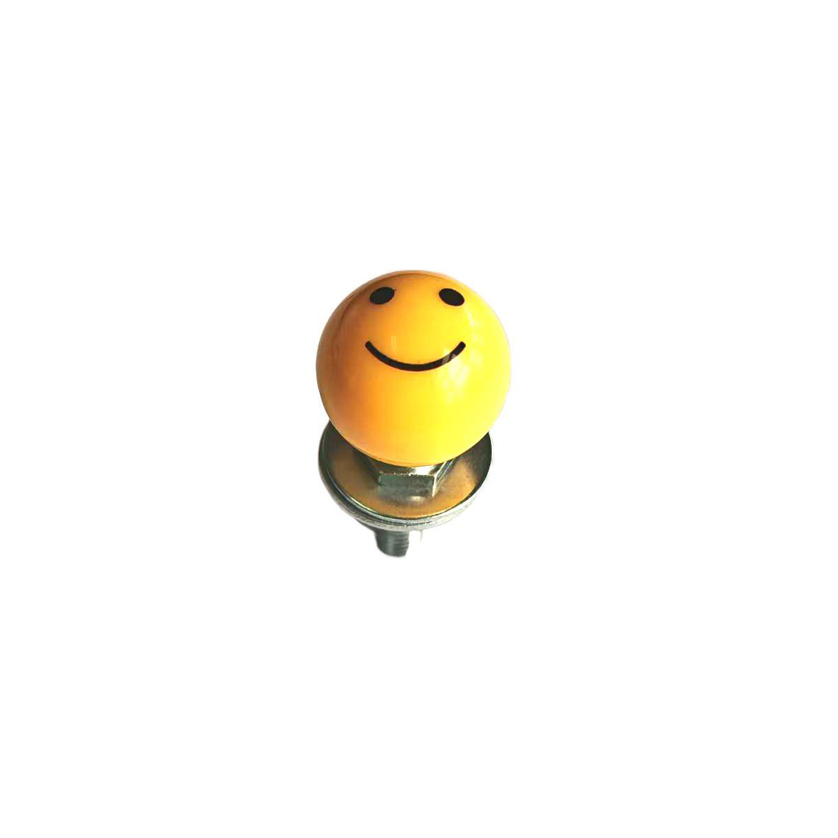 Vis de plaque d'immatriculation avec un smiley