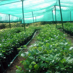Malla Raschel 50% <strong>Shade</strong> Rate Agricultural Raschel Knitting Mesh <strong>Shade</strong> <strong>Net</strong>