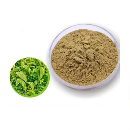 निजी लेबल कार्बनिक प्राकृतिक शुद्ध हरी चाय अर्क Matcha पाउडर