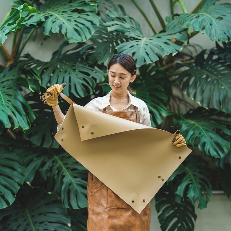 Beige 75*50cm