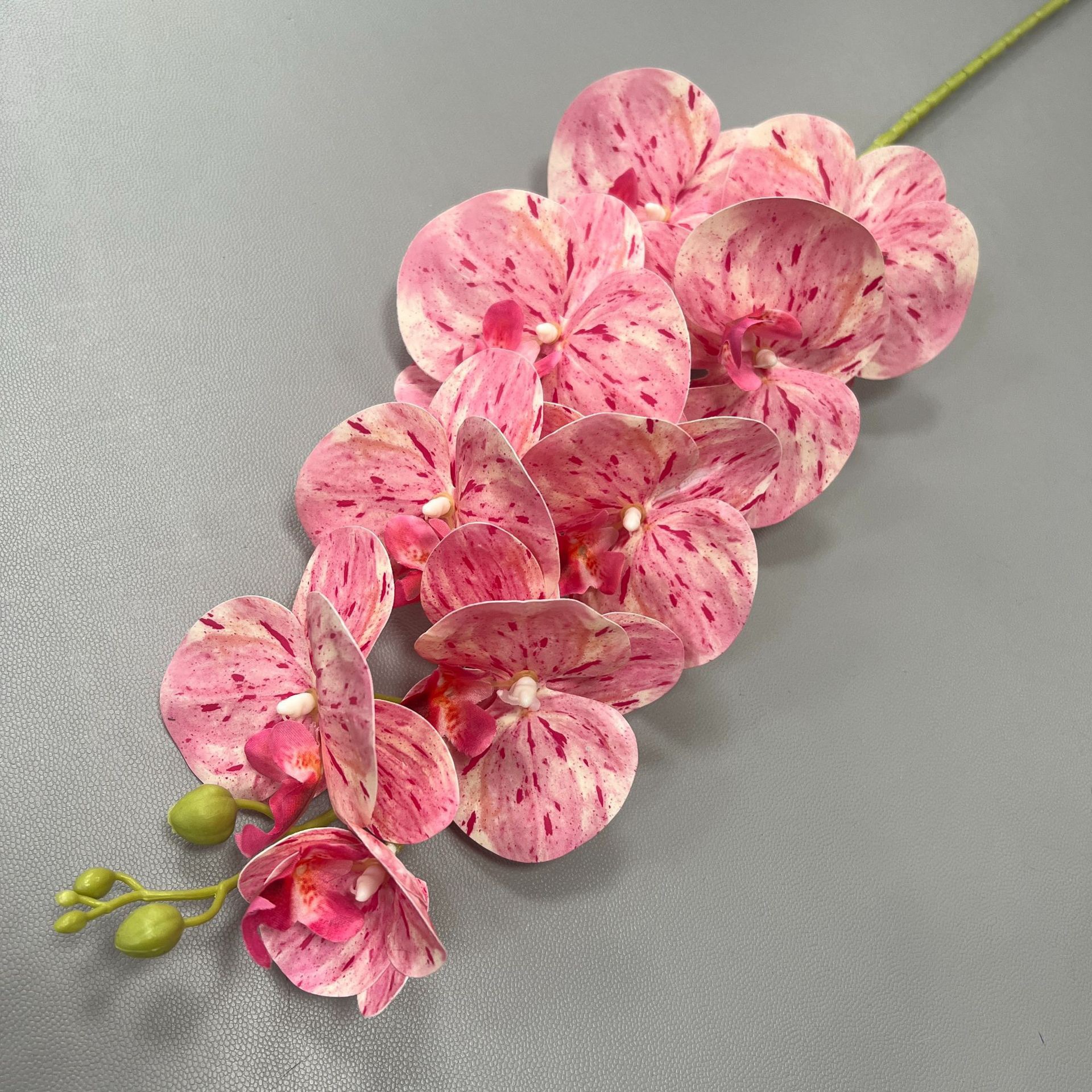 Phalaenopsis court 9 fourchettes printemps rose