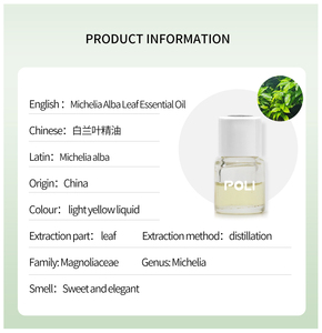 OEM/ODM 100% saf doğa Michelia Alba yaprağı yağı koku aromaterapi ve kozmetik için masaj yağı koku yağı - Product Image 5