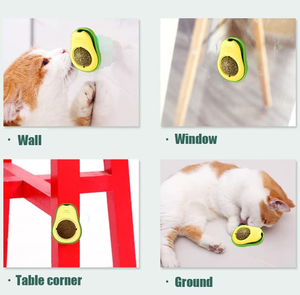 Petdom brinquedo de animais de estimação interativo, brinquedo de limpeza dental de forma rotativa, para limpar os dentes, bola de hortelã natural, abacate, formato de <span class=keywords><strong>catnip</strong></span>, brinquedos para gatos