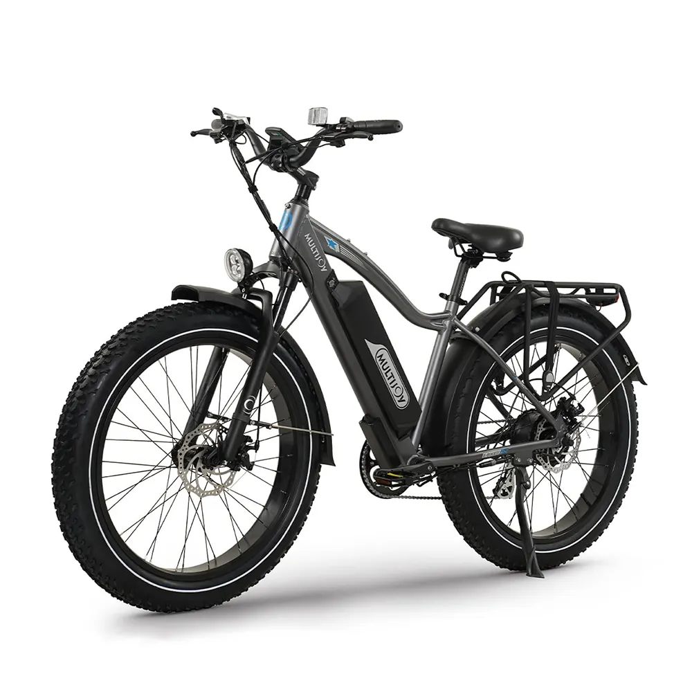 Gyroor Volwassenen Professionele Off-Road Fiets 750W 26 Inch Dikke Band Fiets Elektrische Mountainbike Voor Mannen