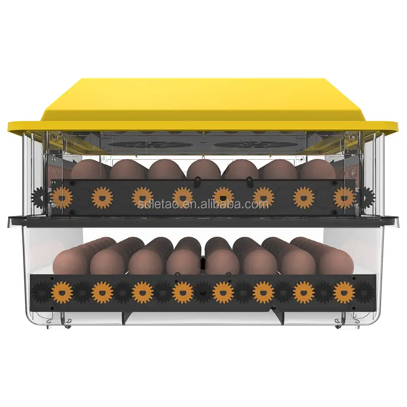 Miniincubadora de energía solar de alta calidad, máquina de incubar huevos, ahorro de LT-Y104, automática