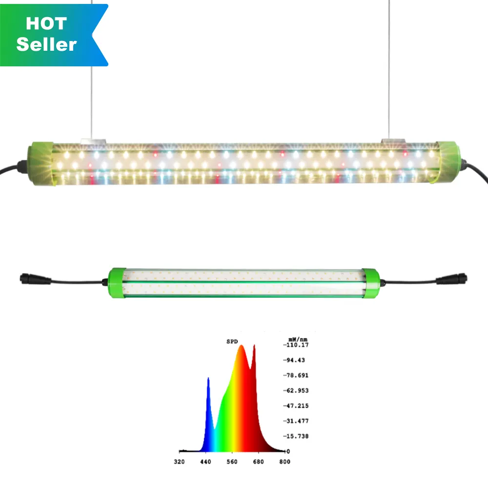 أحدث أنبوب إضاءة Led قابل للتخفيت T8 30W لخضار الزراعة المائية في الأماكن المغلقة وإضاءة الدفيئة المتنامية