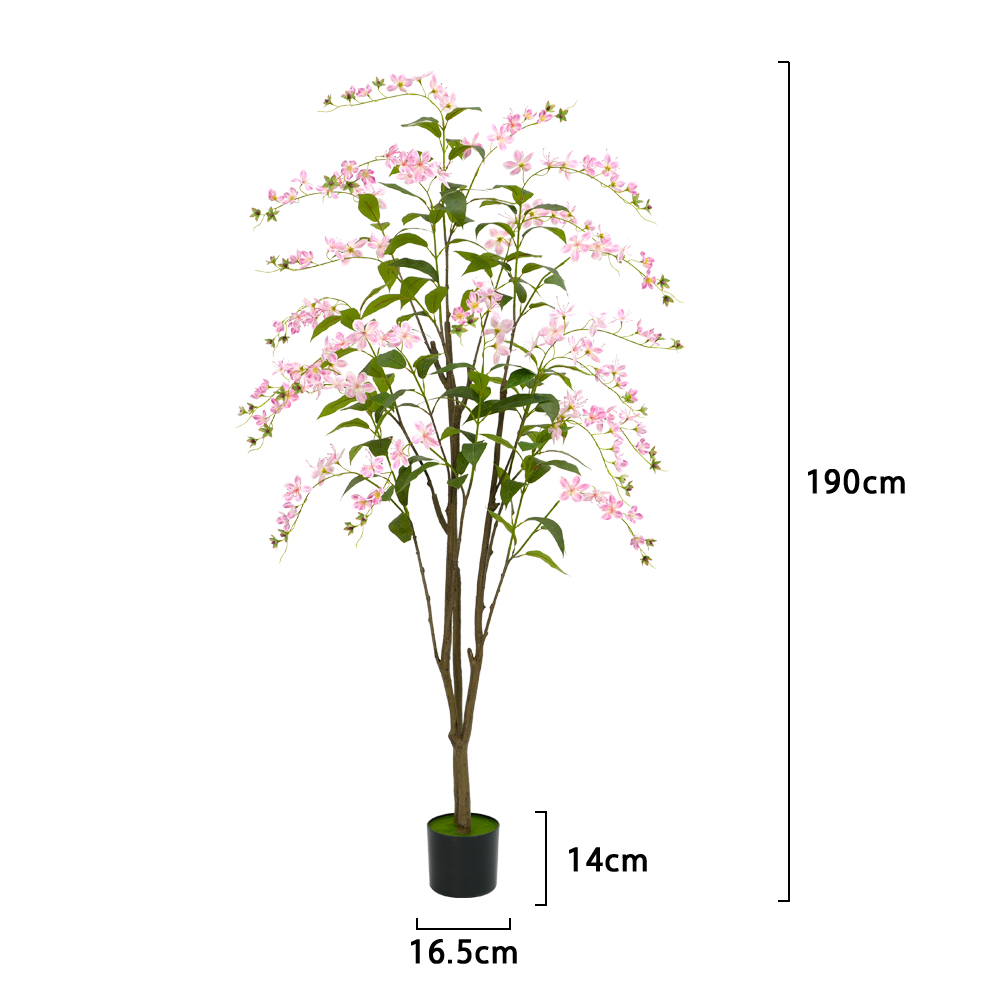 Rosa-6.3 pies