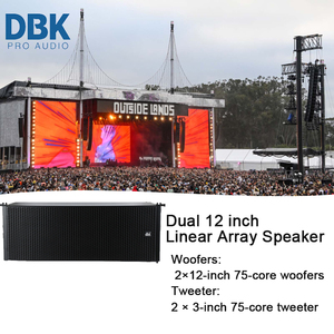 مكبر صوت داخلي/خارجي مزدوج 12 بوصة صفيف خط مكبر صوت خشبي خزانة مزدوجة 12 بوصة يعمل بنظام مكبر صوت LA - Product Image 2