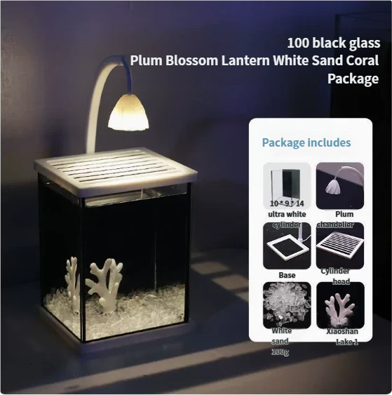 Pacchetto da 100 lanterne Plum Blossom con retro nero e corallo bianco sabbia