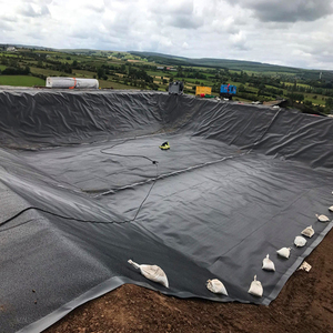 High Density Polyethylene Plastic Roll Sheet <strong>HDPE</strong>/LDPE/LLDPE Geomembrane - Product Image 5