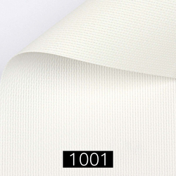 1001