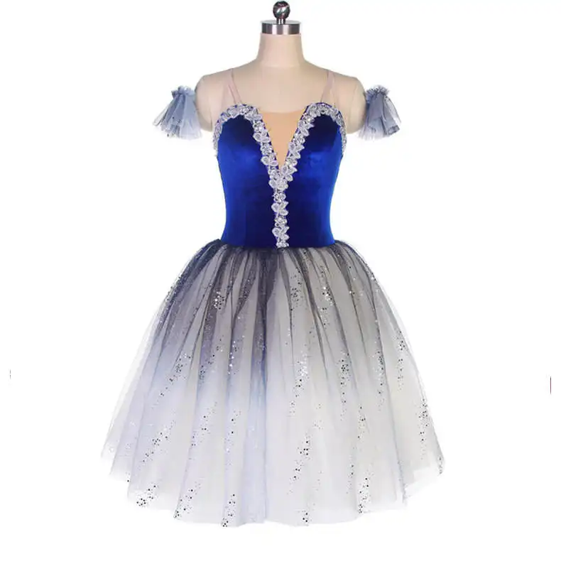 Girls Swan Lake Ballet Dance Costume Princess Ballet Tutus Dress Dancewear