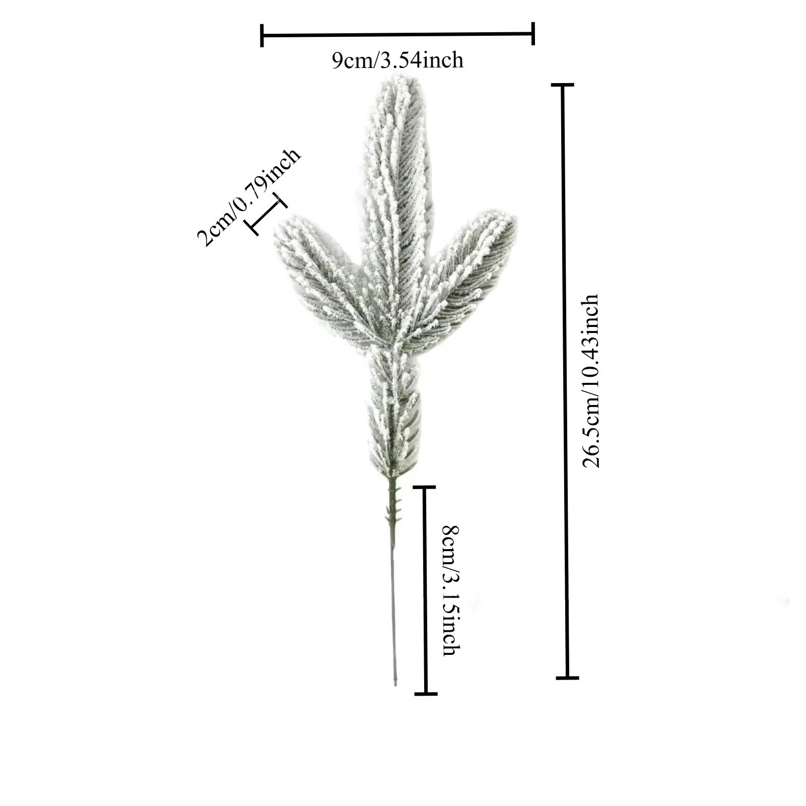26,5 cm