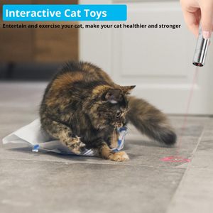 Giocattolo interattivo 3-in-1 multifunzionale Pet puntatore Laser USB ricaricabile per il gioco e la formazione di cani e gatti - Product Image 6