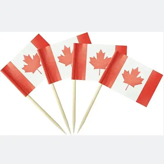 קנדה דגל קנדה קיסם דגלי קטן מיני מקל Cupcake Toppers דגלי
