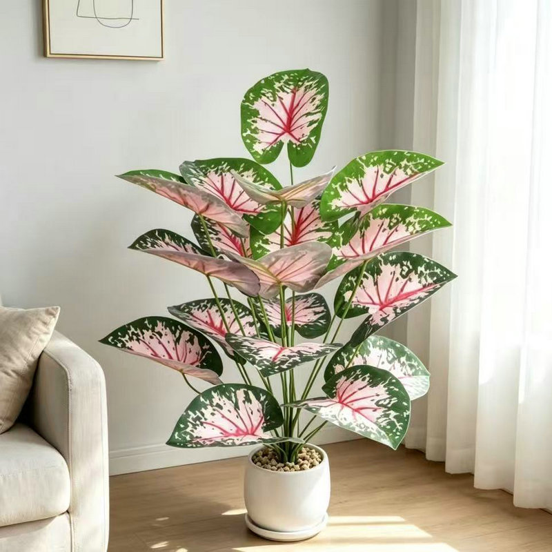 salsa rose