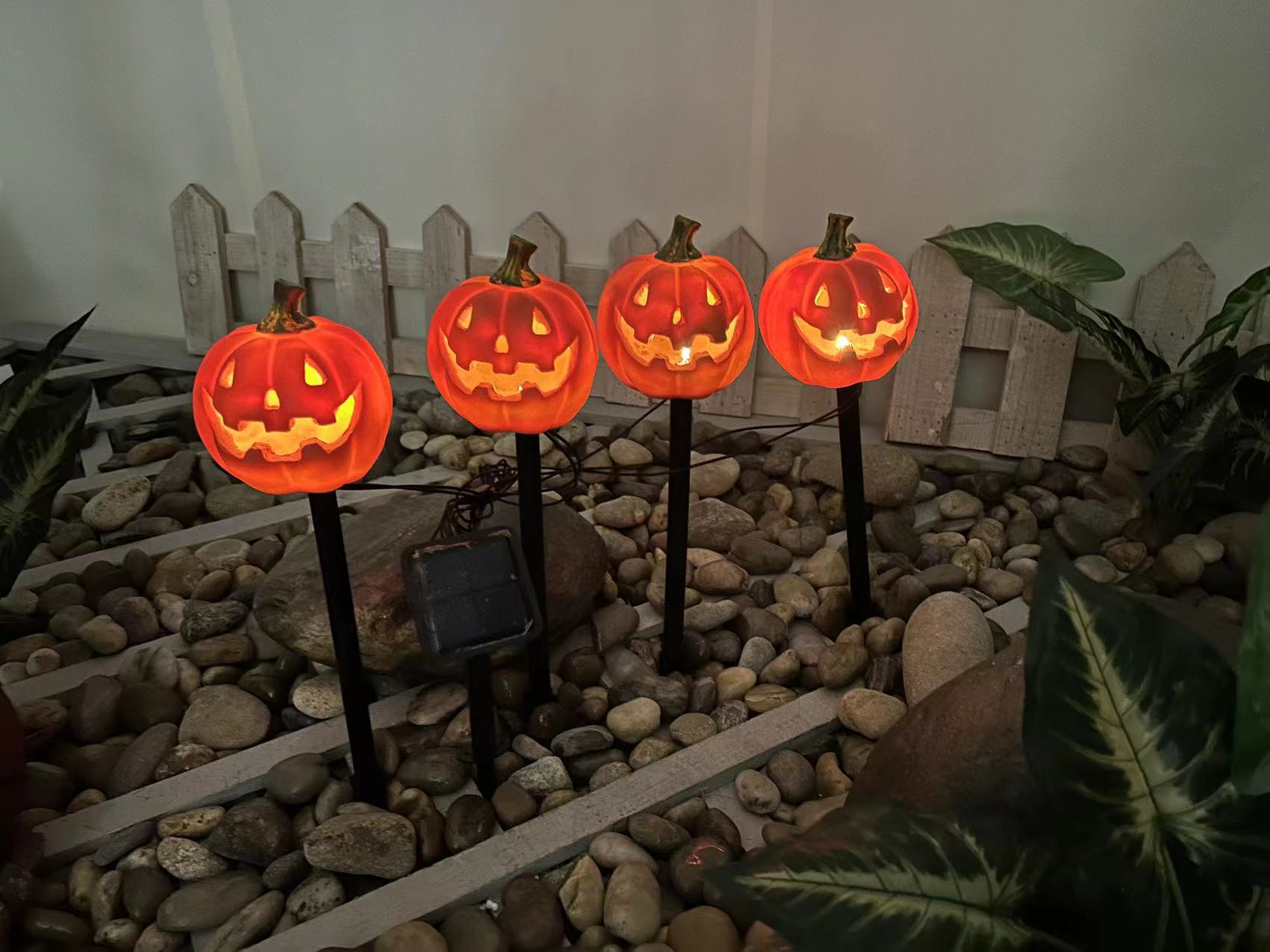 Pumpkin one to four