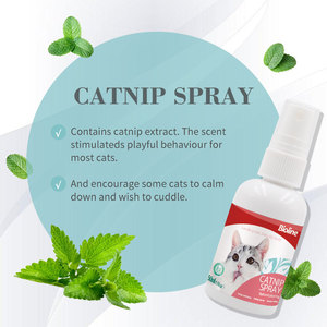 High Potency Transparent Liquid Spray Natural <strong>Catnip</strong> Spray <strong>Catnip</strong> Oil Spray for Indoor Cats and Kittens - Product Image 5