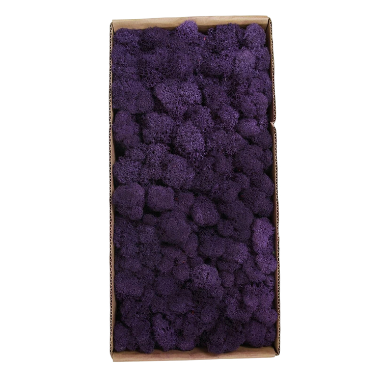 Grape Purple 500g