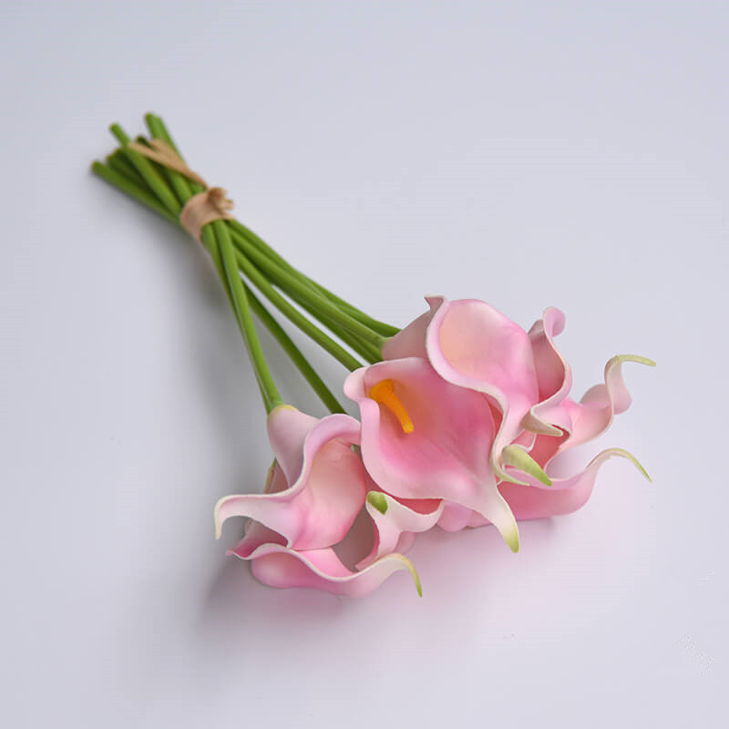 Rose2 #
