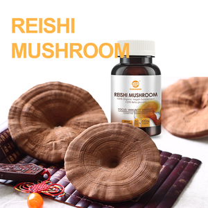 Ganoherb oem/odm 3 ב 1 רישי נגודרמה לוסידום לחלץ כמוסת אבקת פטריות רישי - Product Image 5