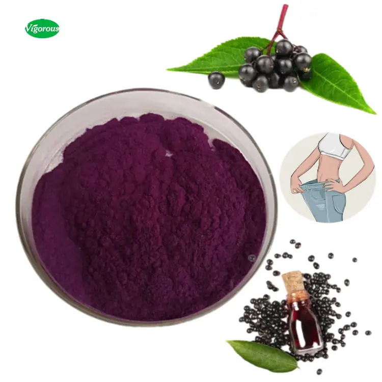 Estratto di succo di sambuco nero secco in polvere puro naturale per la salute