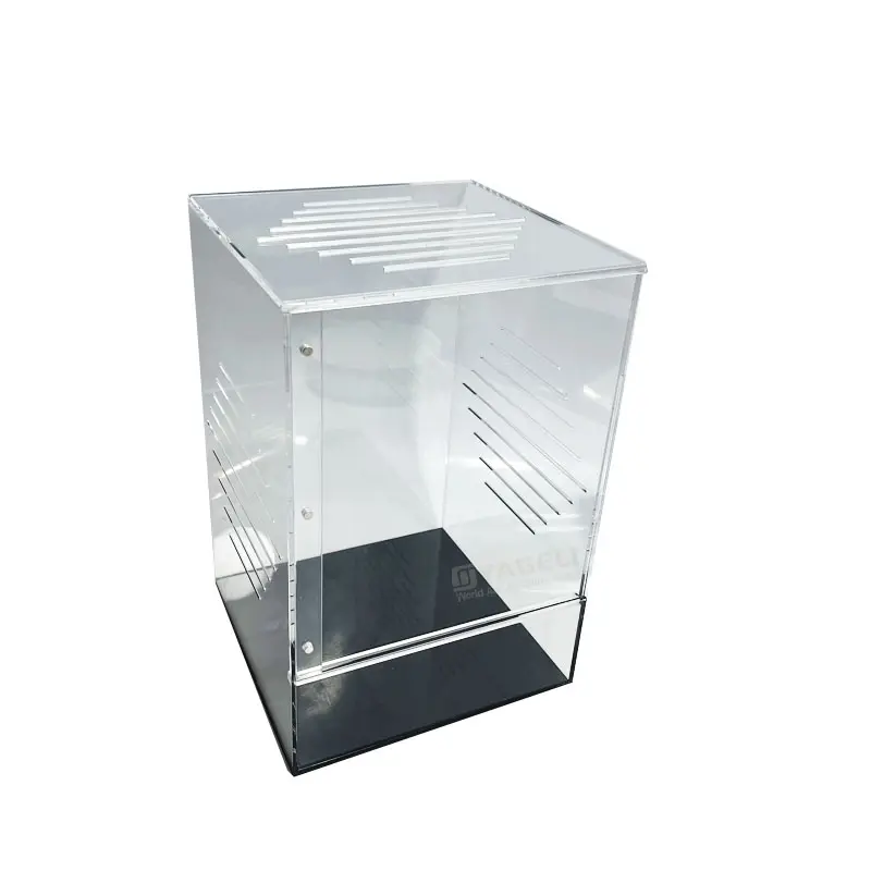 Vente en gros boîte transparente personnalisée pour reptiles boîte d'élevage terrarium reptile acrylique cage pour caméléon
