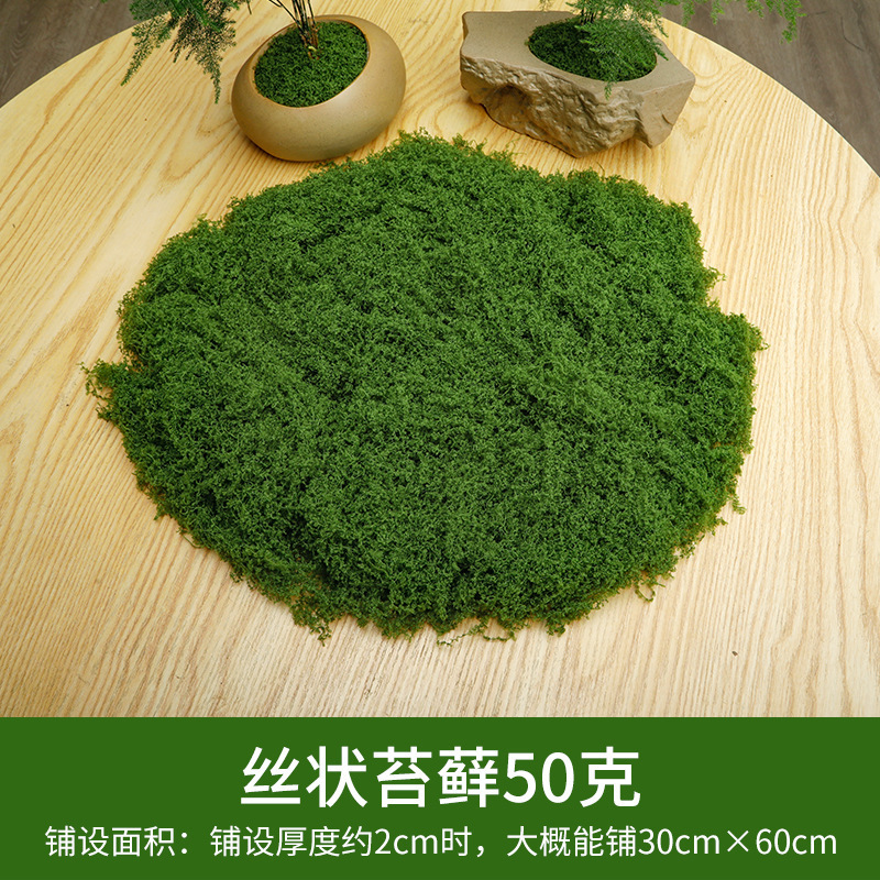 50 grammes de mousse filamenteuse vert foncé