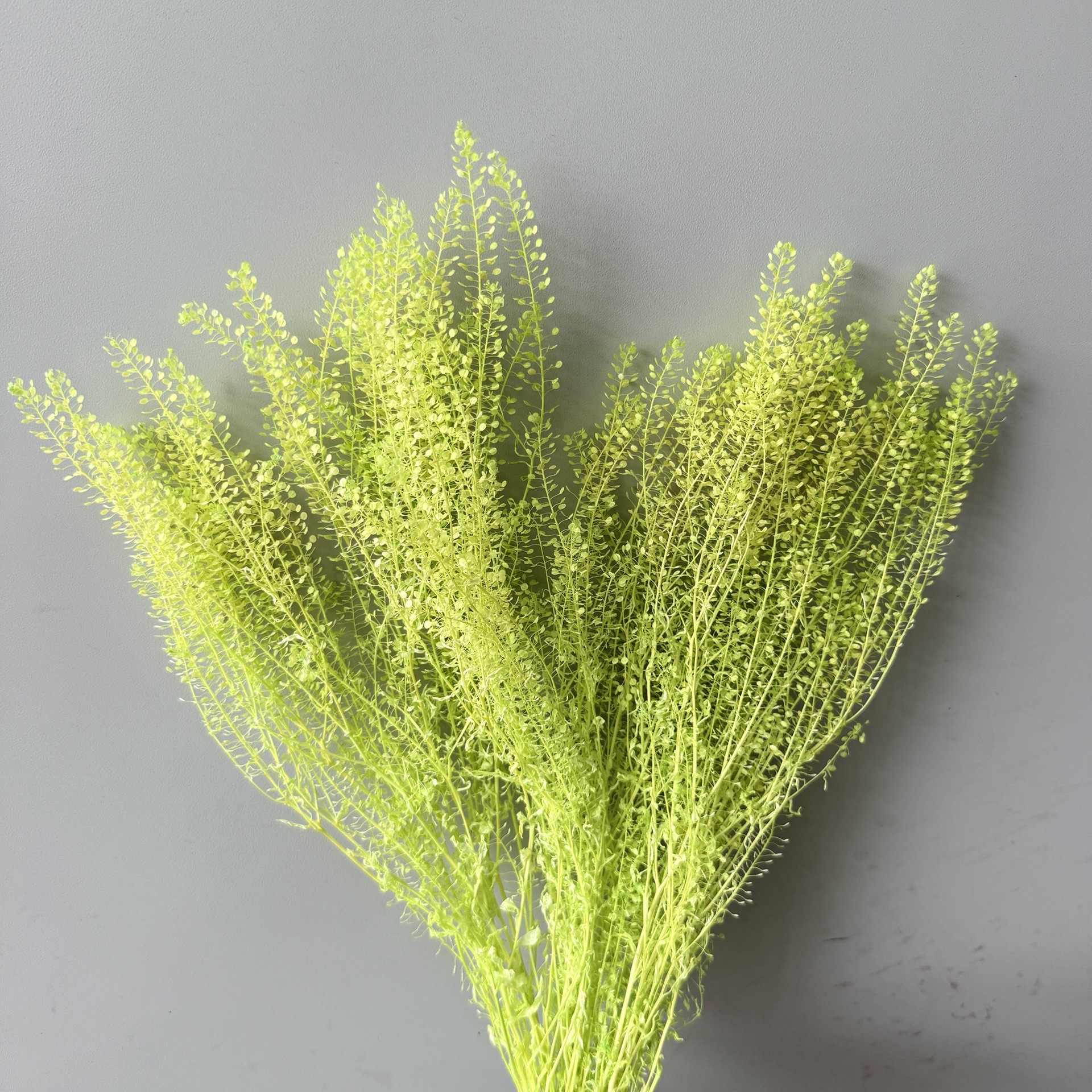 Verde Lime Chiaro