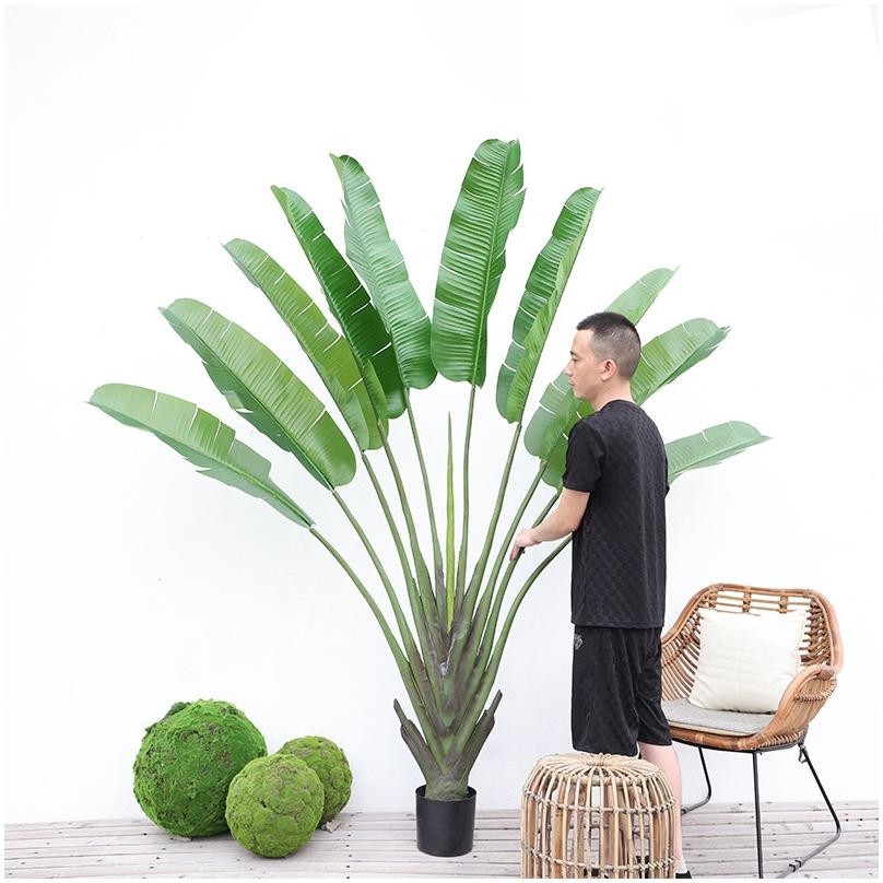 Plante en pot Overlord Bird of Paradise 220 cm