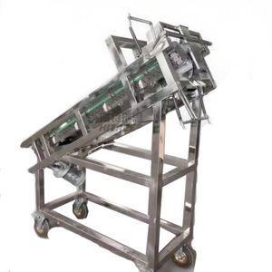 Fácil operación Proveedor de materias primas para hornear 800 kg/h Máquina clasificadora de calidad de granos de cacao - Product Image 6