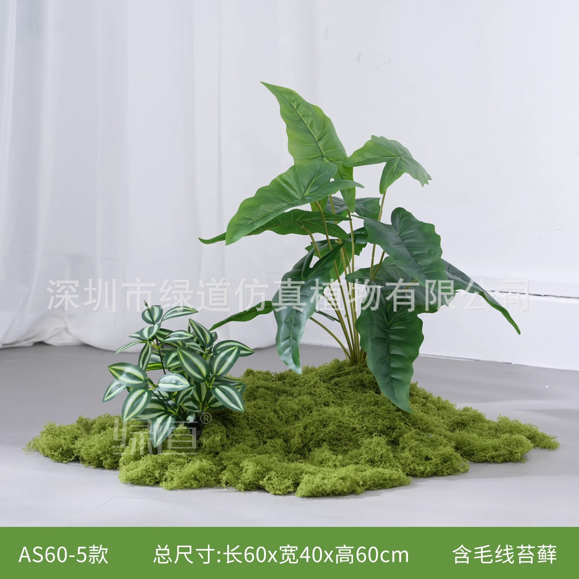 AS60-5