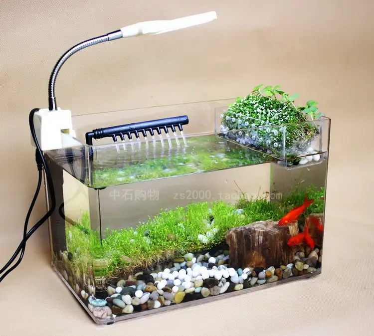 rectangle small acrylic customized fish tank Acrylic Turtle Jelly Fish Feeder Box Aquarium Tank With LED lighting Filter