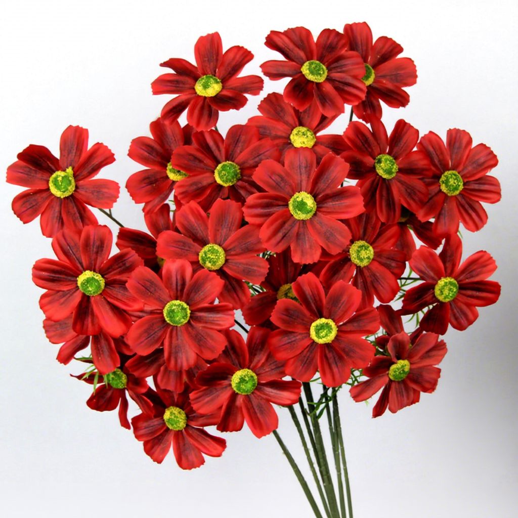 Girasol Rojo / pc