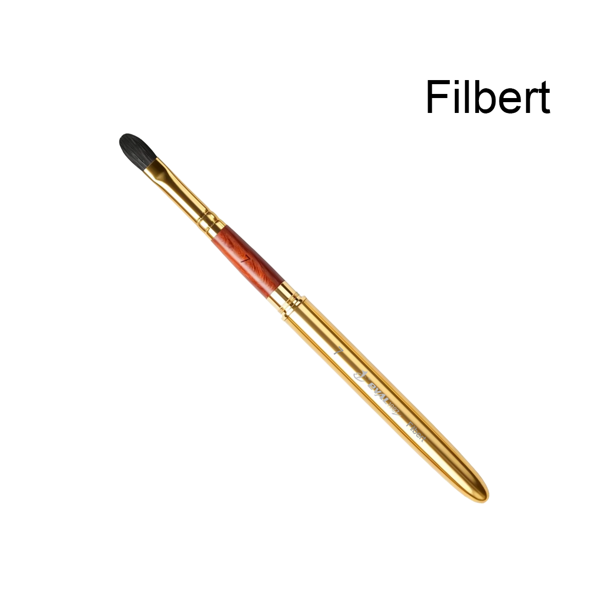 Filbert