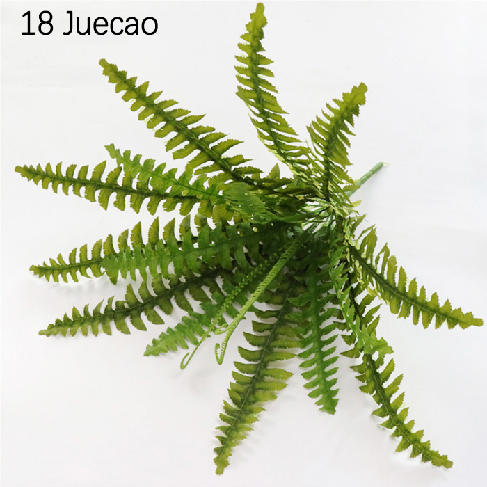 18 têtes de Juecao, 2 branches