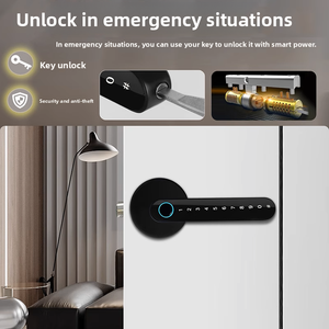공장 뜨거운 판매 알루미늄 합금 스마트 핸들 잠금 WiFi 디지털 터치 스크린 + 키 잠금 해제 클라우드 데이터 저장 TT 잠금 나무 코드 - Product Image 3