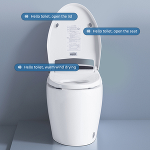 Yingjie Bathroom Electric Sanitary Ware 110V/220V Automatic Japanese Cleaning Function Wc Smart Toilet with <strong>Bidet</strong> - Product Image 4