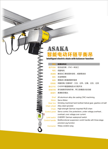 Factory Direct 300 KG Electrical <strong>Chain</strong> Hoist Liftket Electric <strong>Chain</strong> Hoist Intelligent ASAKA Electric <strong>Chain</strong> Hoist