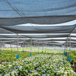 HDPE Artificial Sun Shade Mesh Net Roll Kunden spezifischer Schneid service für Carport Shade Cloth und Sämling Shade Nets